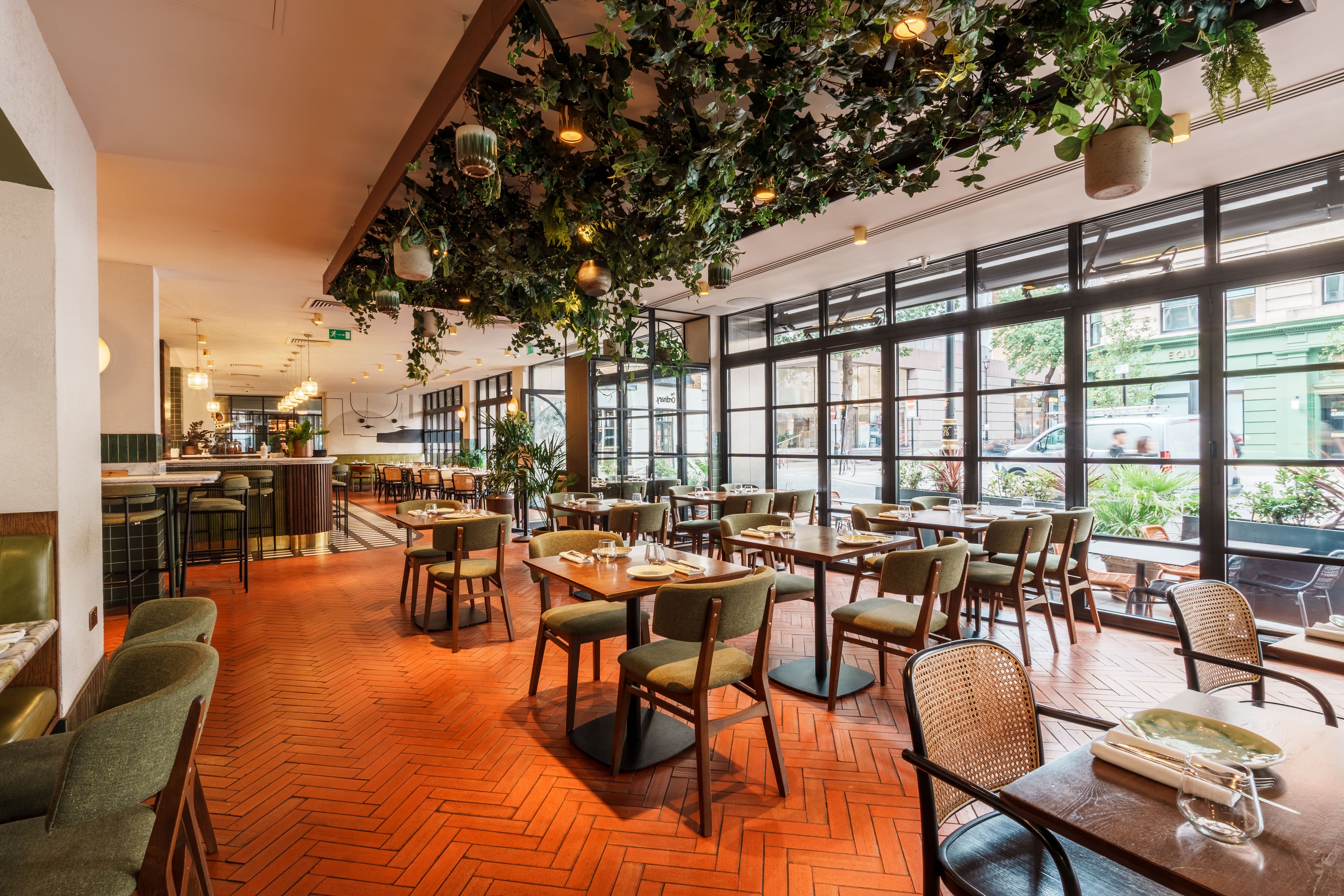 Sunlit Olea Social dining room with hanging greenery, herringbone floor and floor-to-ceiling windows